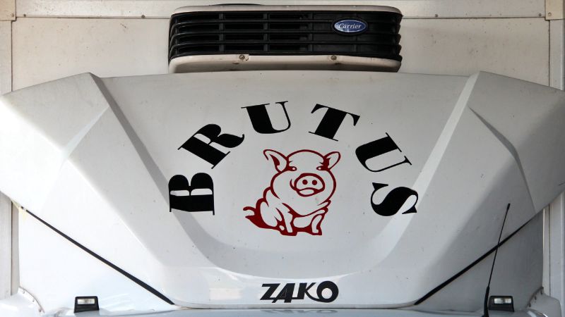 logo - Brutus